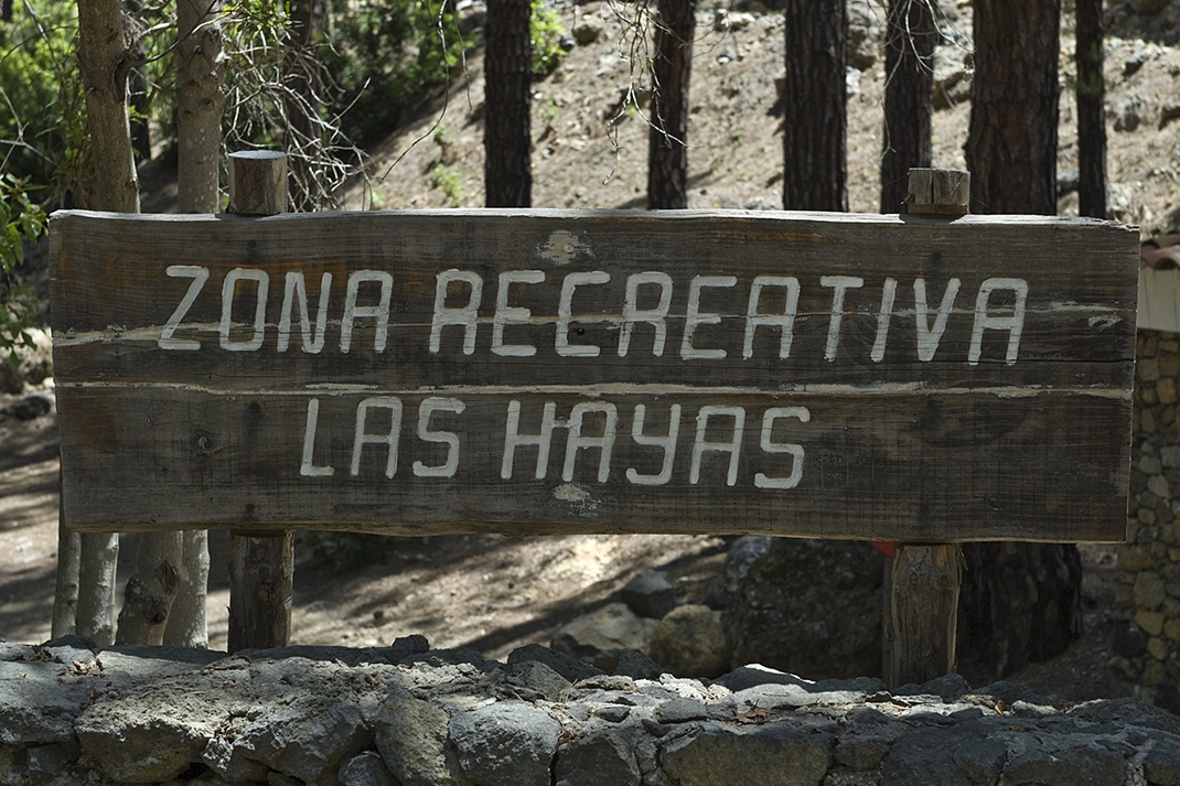 Zona de acampada Las Hayas