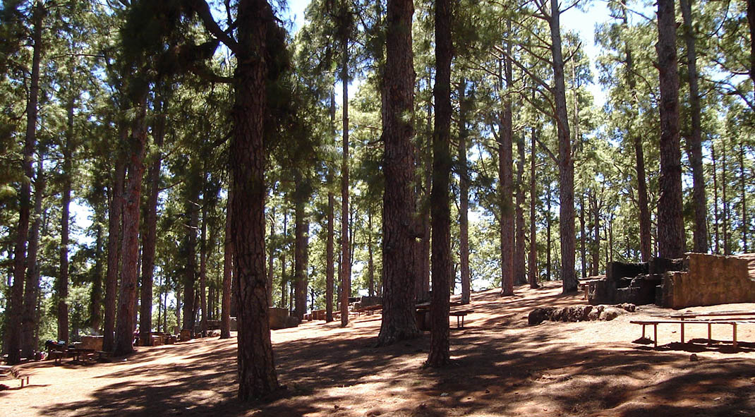 Las Raíces Campsite