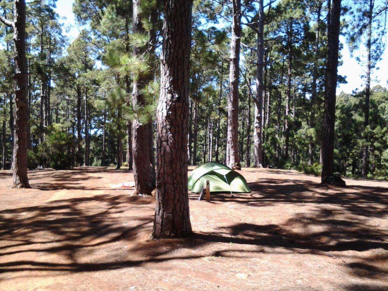 Las Raíces Campsite