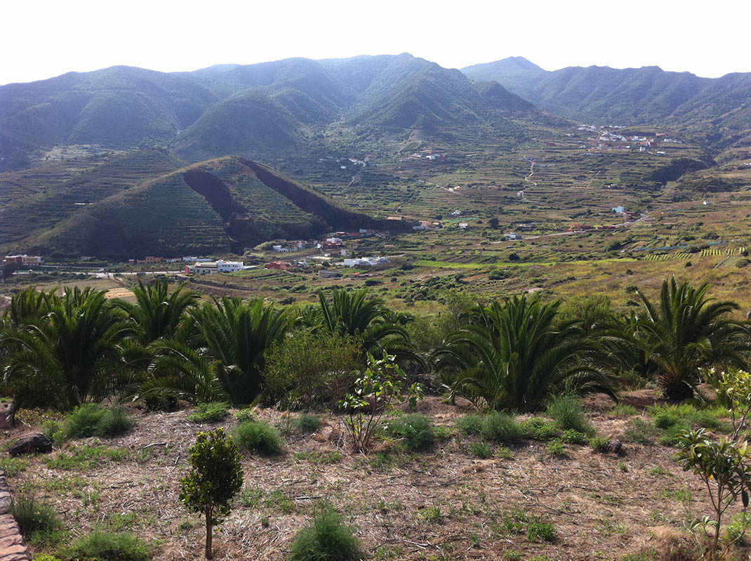 Zona de Acampada Los Pedregales