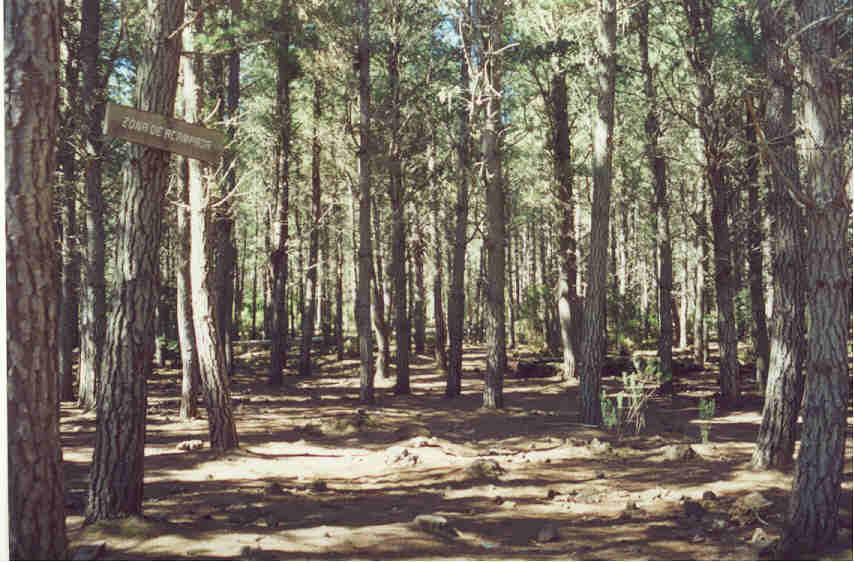 Zona de Acampada La Caldera