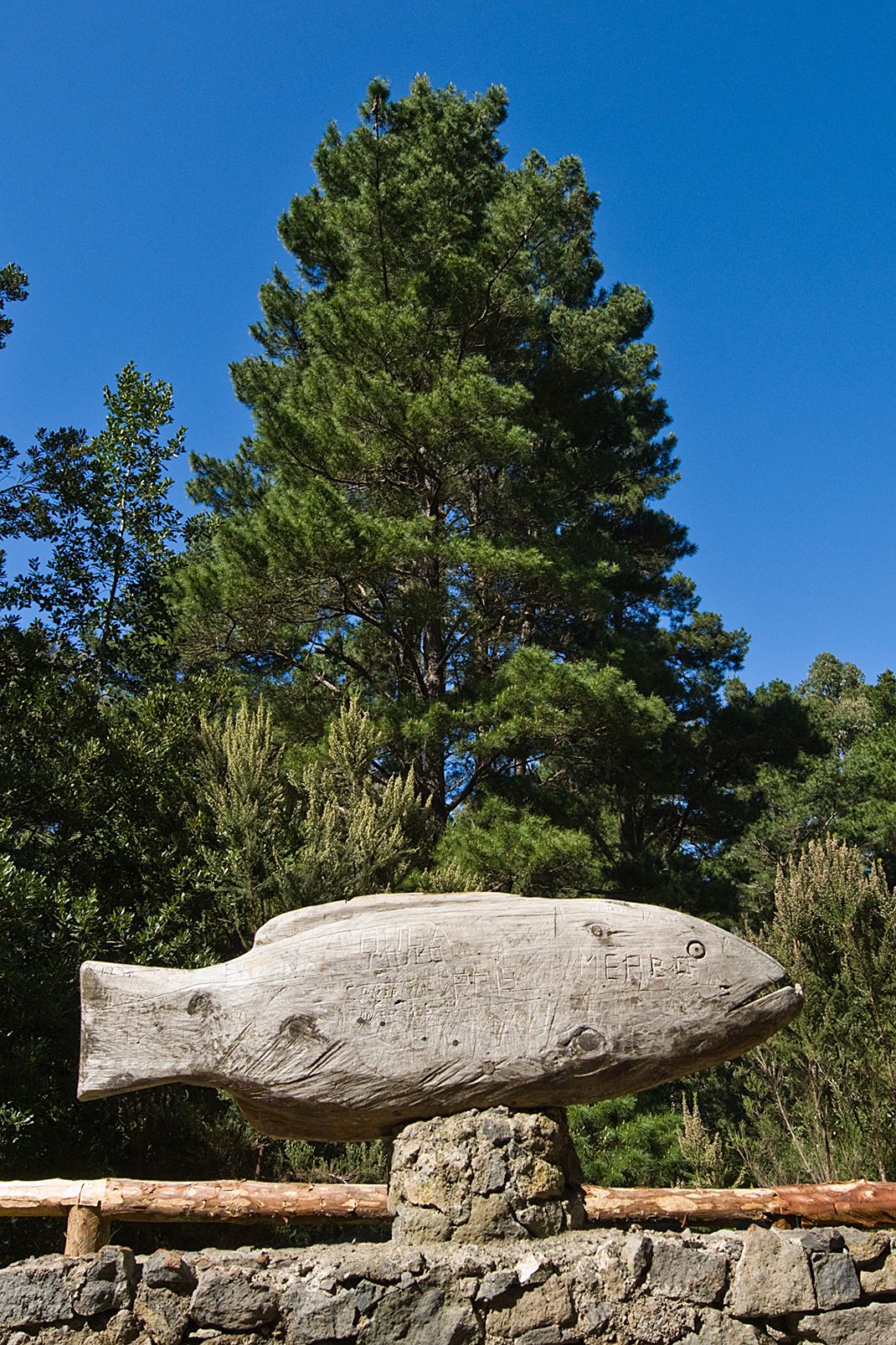 Hoya del Abade Recreational Area