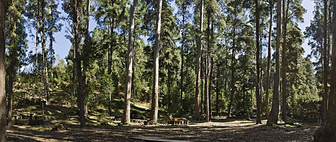 Hoya del Abade Recreational Area