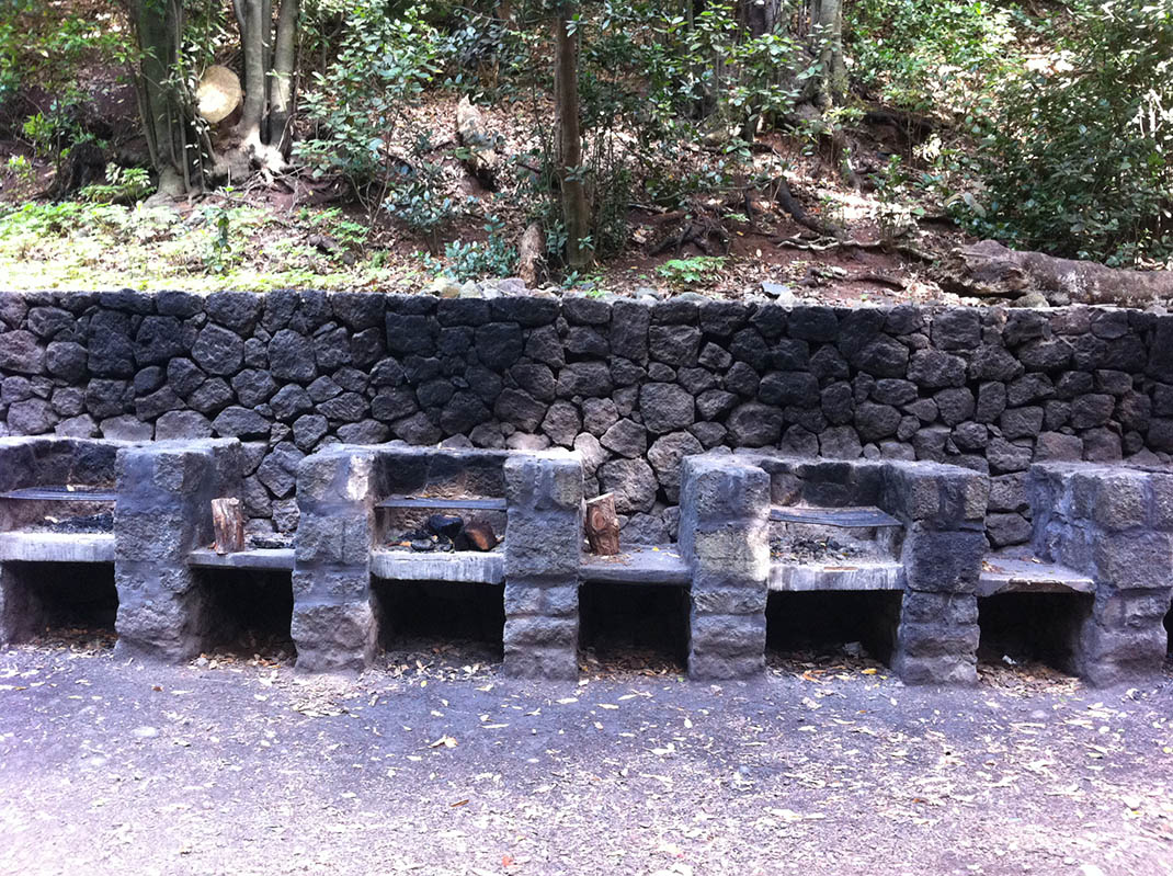 Área Recreativa Llano de los Viejos