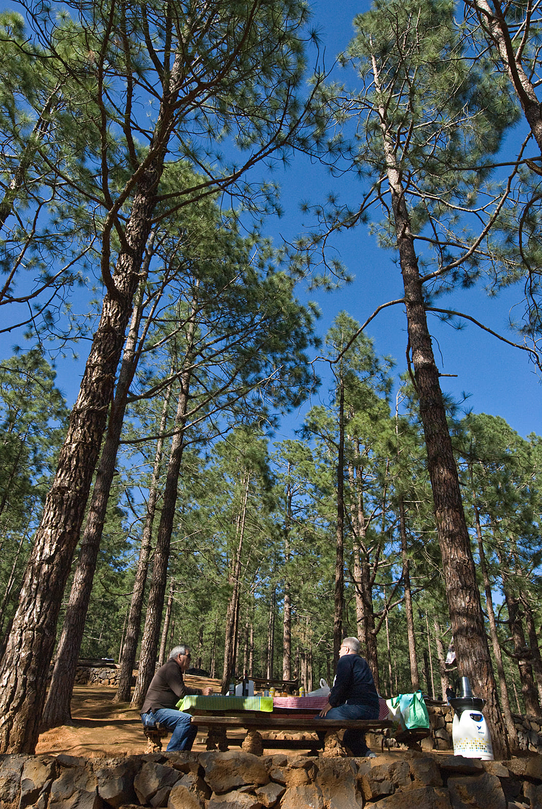 Área Recreativa Los Frailes