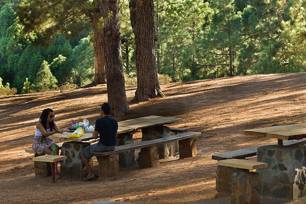 Área Recreativa Las Raíces